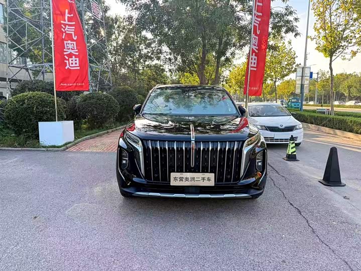 Фото 3 - Hongqi HS7 Hybrid