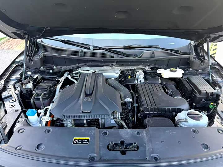 Фото 5 - Hongqi HS7 Hybrid