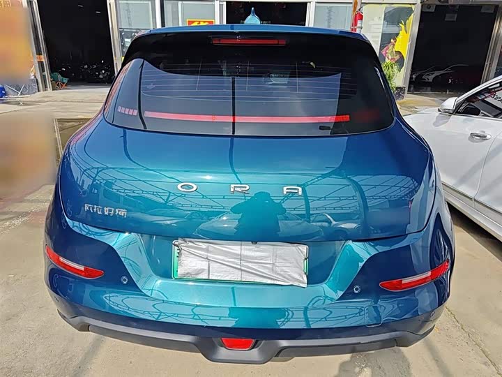 Фото 6 - Ora Good Cat (03)