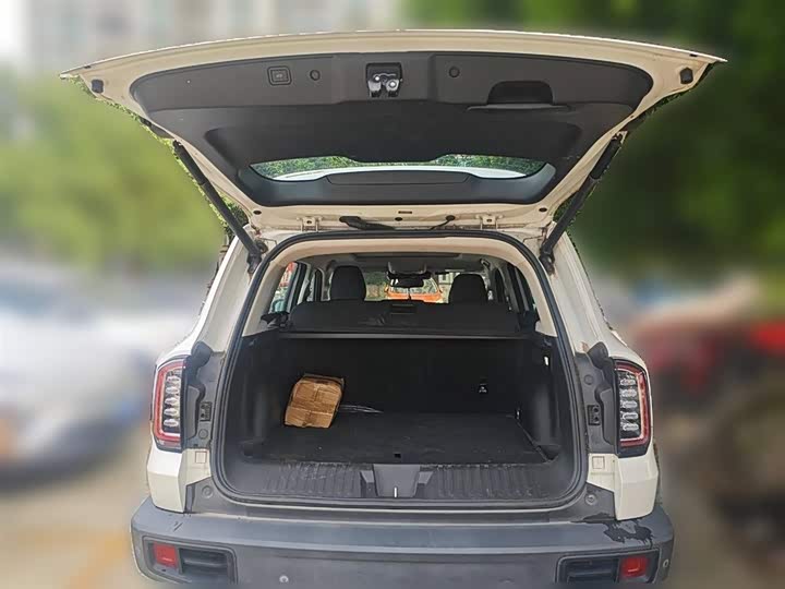 Фото 10 - Haval Dargo