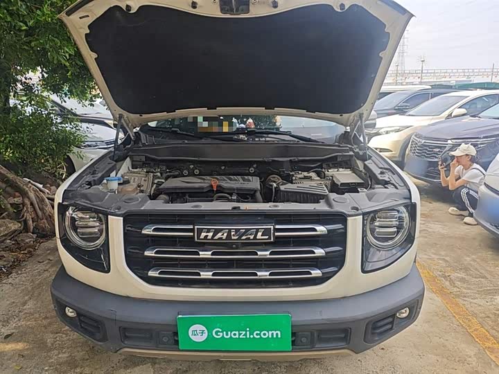 Фото 11 - Haval Dargo