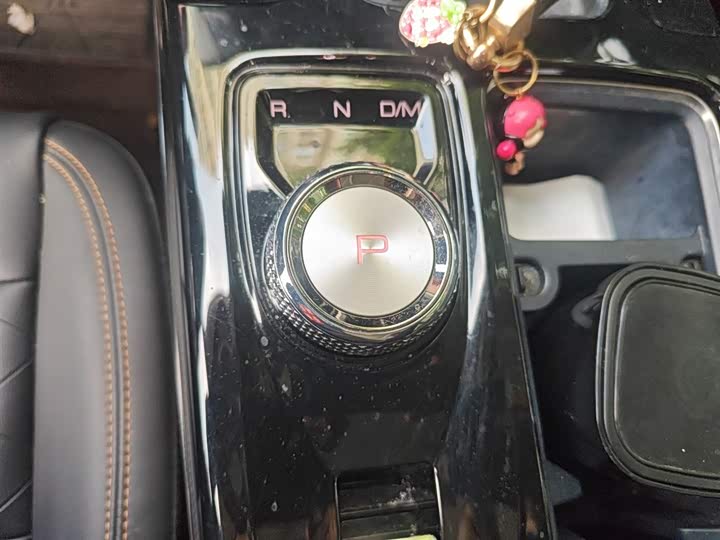 Фото 7 - Haval Dargo