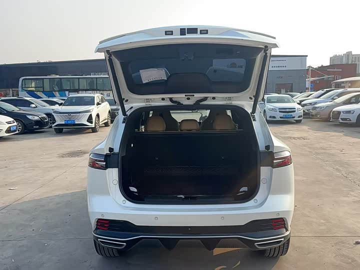 Фото 6 - Roewe RX5