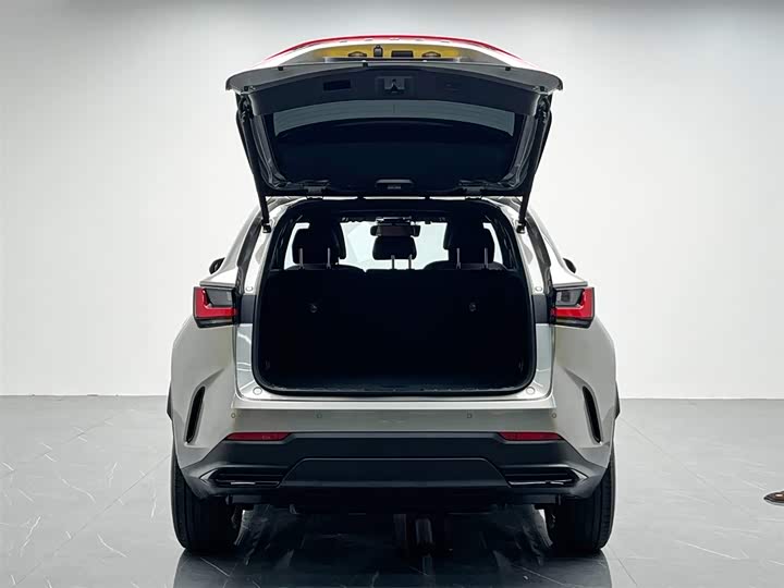 Фото 10 - Lexus NX