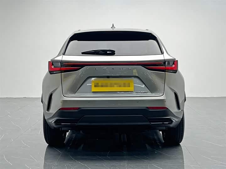 Фото 5 - Lexus NX