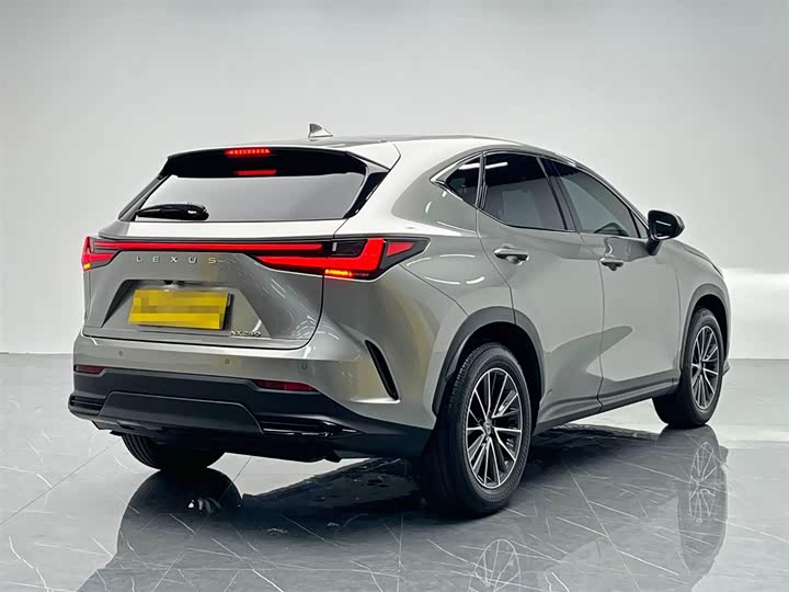 Фото 6 - Lexus NX