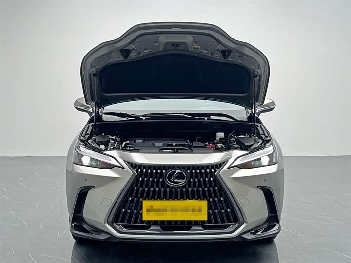 Фото 9 - Lexus NX