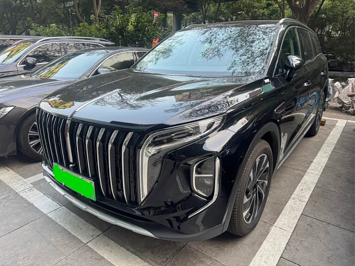 Фото 2 - Hongqi HS7 Hybrid