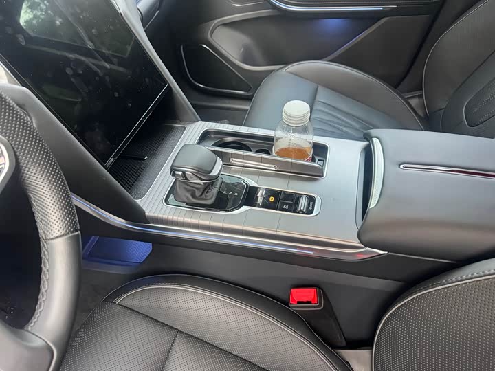 Фото 7 - Hongqi HS7 Hybrid