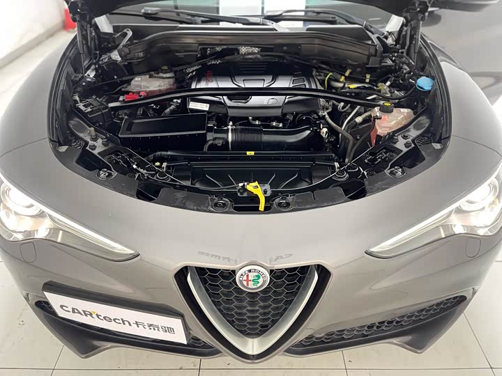 Фото 10 - Alfa Romeo Stelvio
