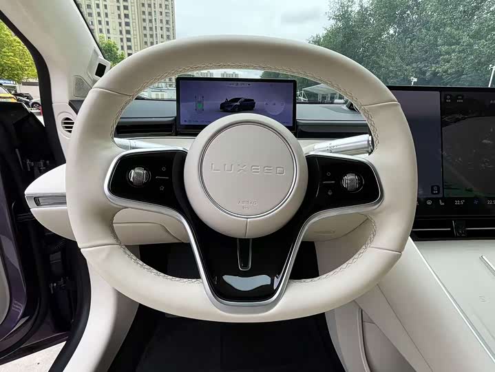 Фото 11 - Luxeed S7