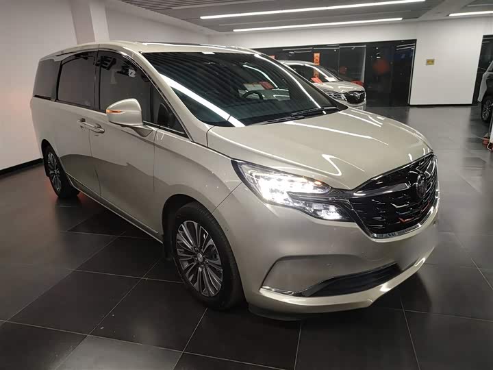 Фото 4 - Buick GL8 ES