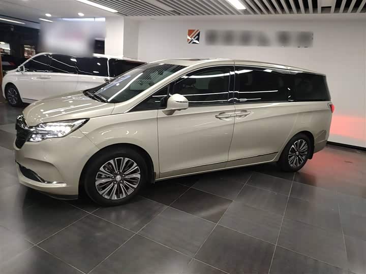 Фото 5 - Buick GL8 ES