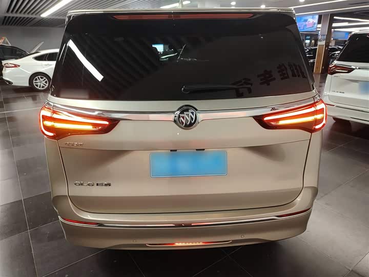 Фото 6 - Buick GL8 ES