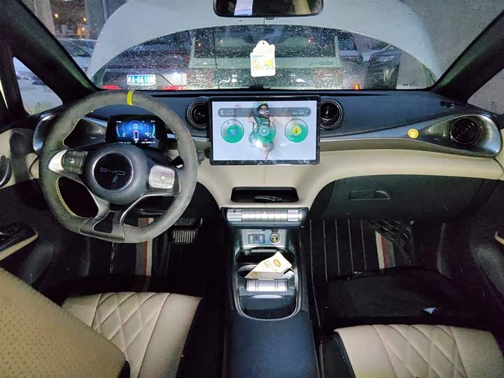 Фото 10 - BYD Dolphin