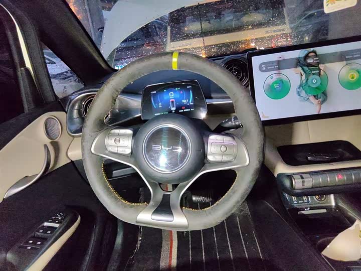 Фото 11 - BYD Dolphin