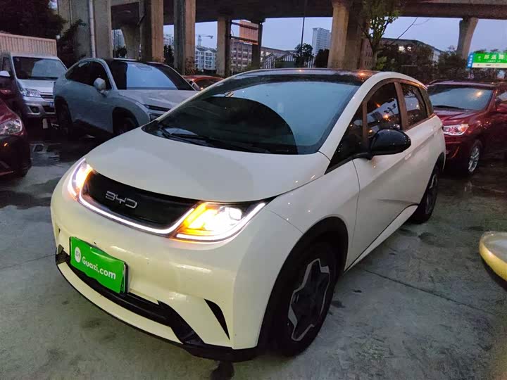 Фото 2 - BYD Dolphin
