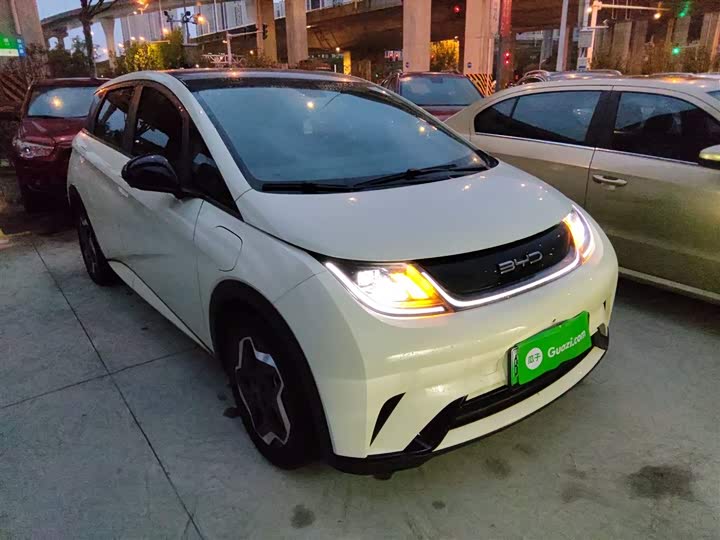 Фото 4 - BYD Dolphin