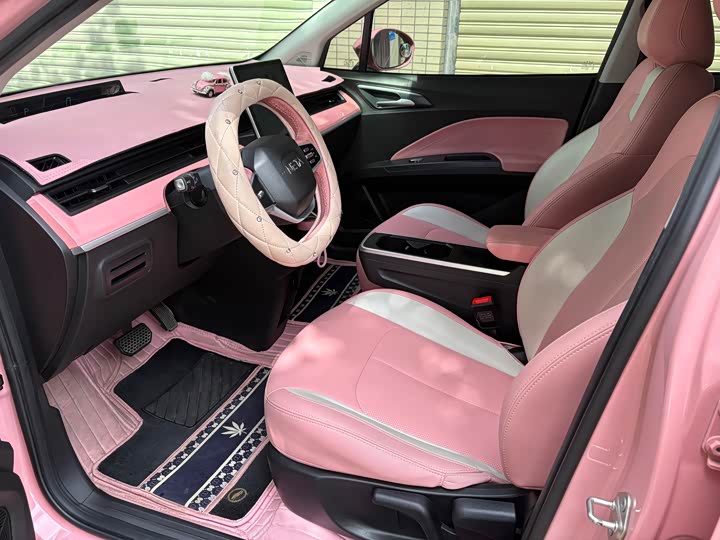 Фото 4 - Hozon V