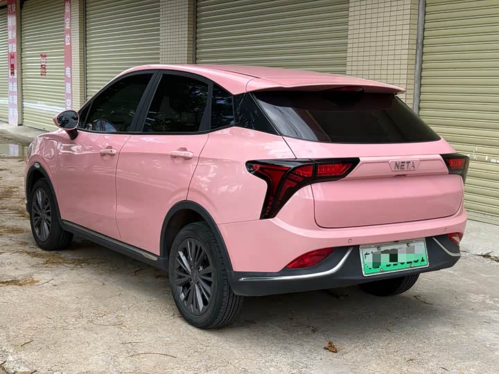 Фото 7 - Hozon V