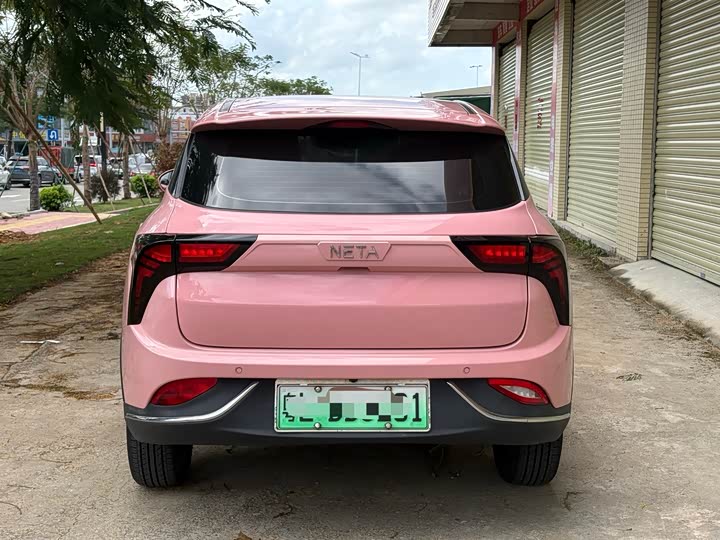 Фото 8 - Hozon V