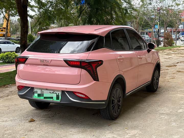 Фото 9 - Hozon V