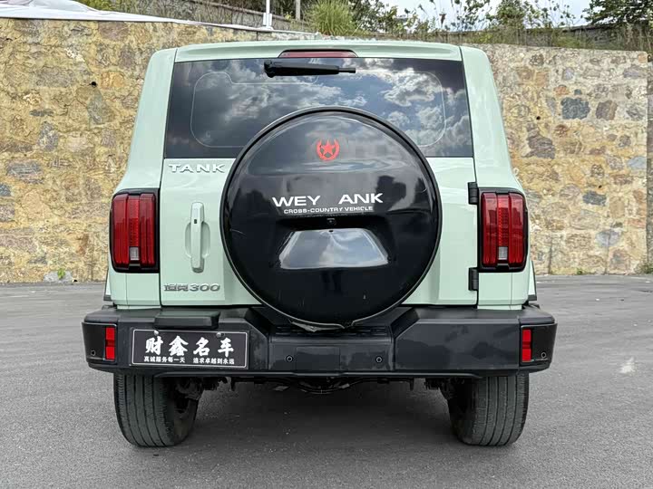 Фото 16 - Tank 300