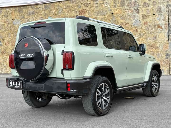 Фото 17 - Tank 300