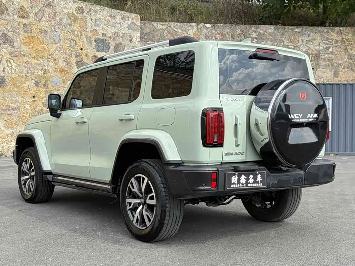 Фото 18 - Tank 300