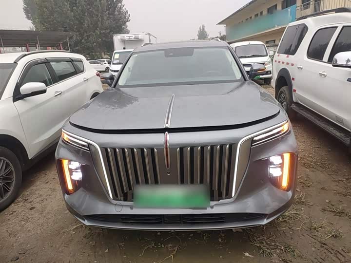 Фото 3 - Hongqi E-HS9