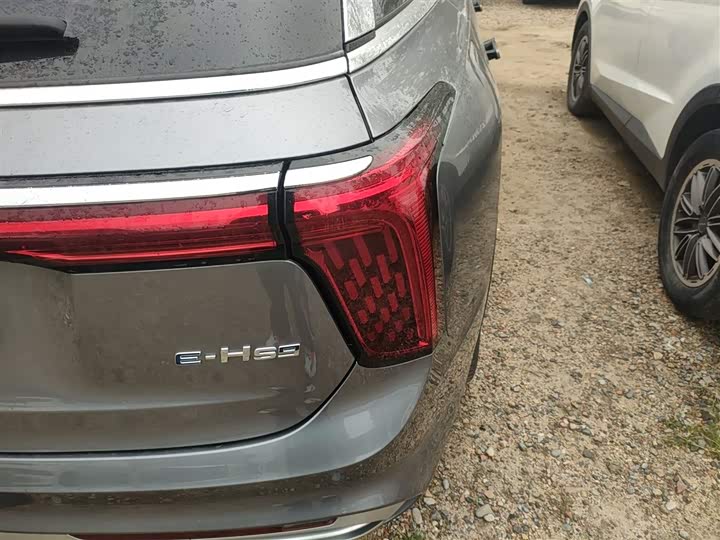 Фото 8 - Hongqi E-HS9