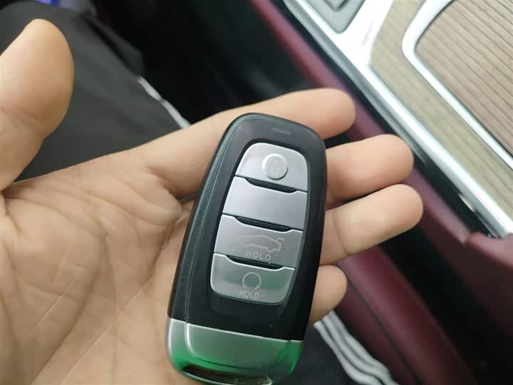 Фото 9 - Hongqi E-HS9