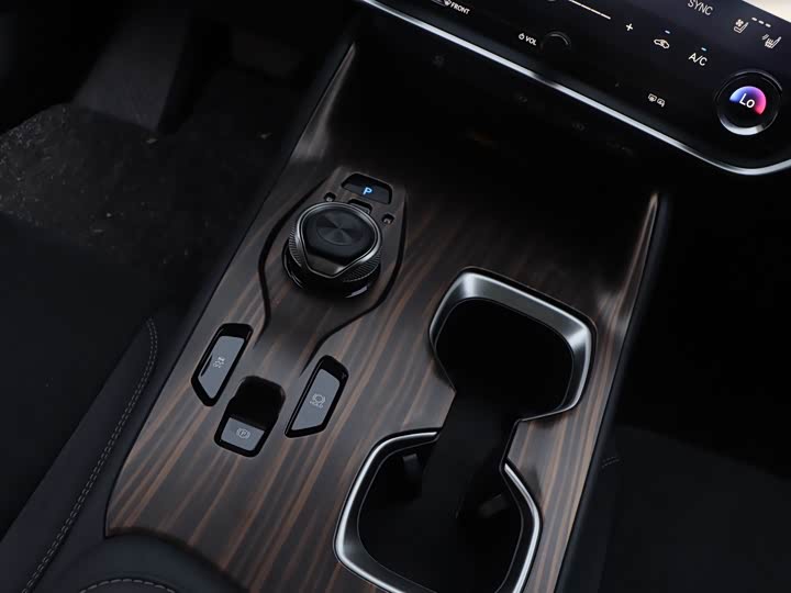 Фото 10 - Lexus RZ