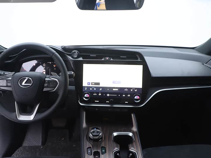 Фото 6 - Lexus RZ