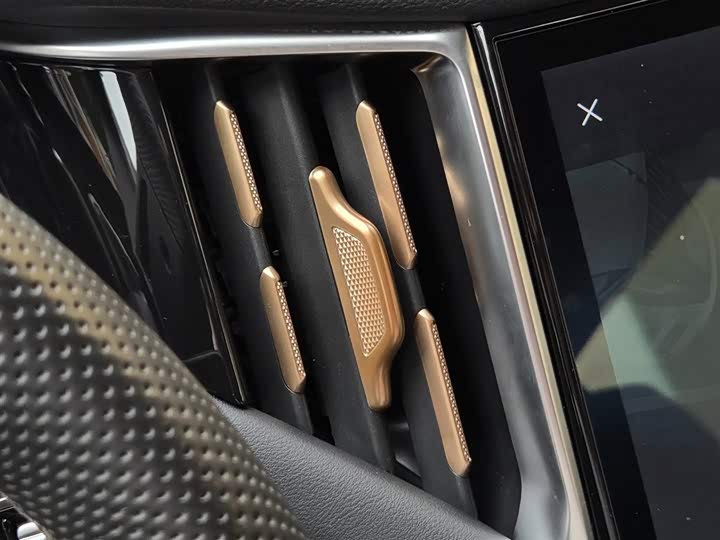 Фото 54 - Hongqi HS7 Hybrid