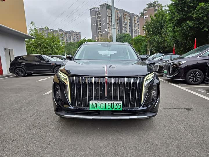 Фото 9 - Hongqi HS7 Hybrid