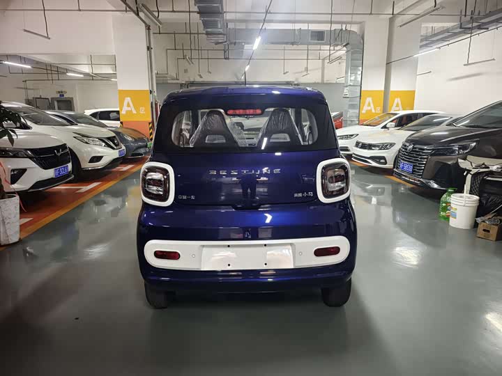 Фото 7 - Bestune Pony