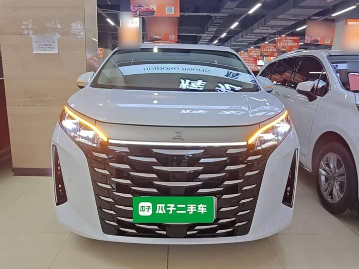 Фото 3 - BYD Xia