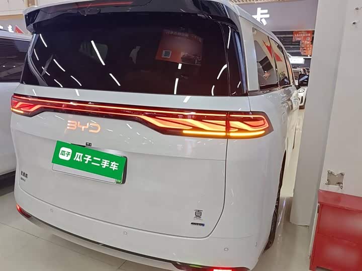 Фото 7 - BYD Xia