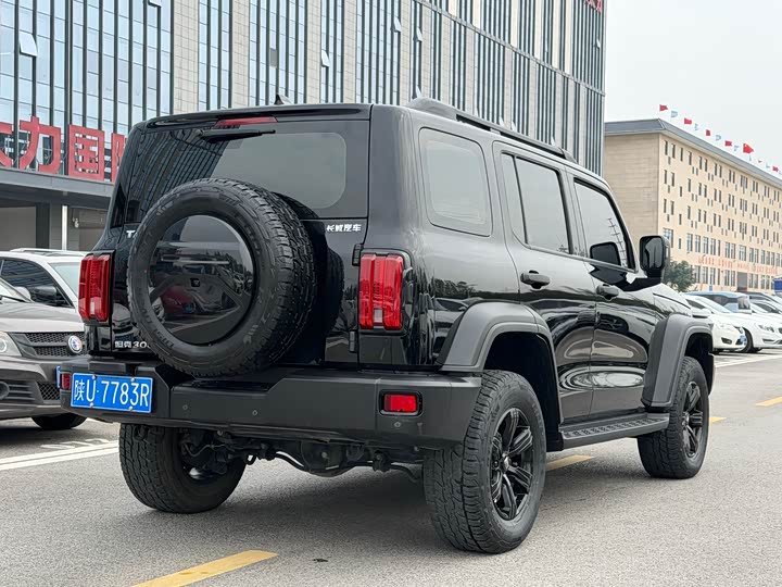 Фото 4 - Tank 300