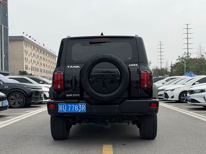 Фото 5 - Tank 300