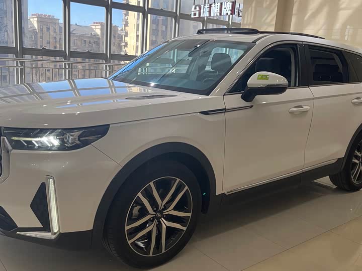 Фото 1 - Bestune T99