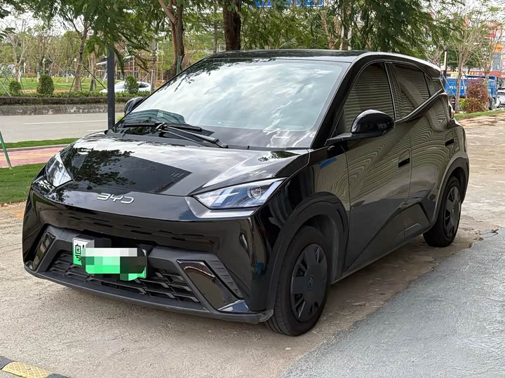 Фото 1 - BYD Seagull