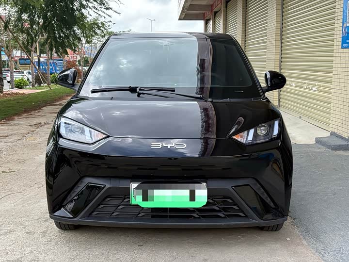 Фото 2 - BYD Seagull