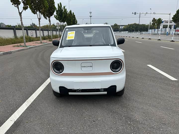 Фото 3 - Geely Galaxy Panda Mini