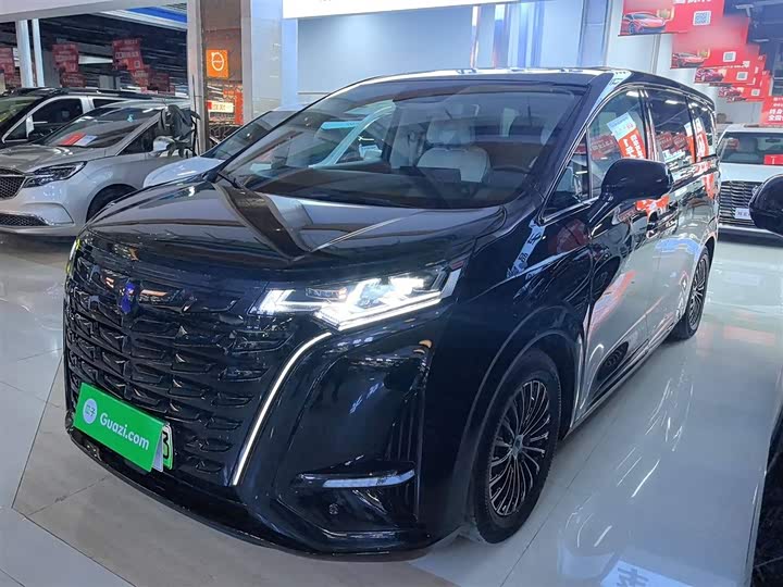 Фото 1 - Denza D9