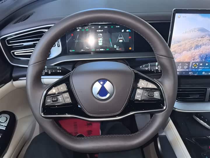 Фото 14 - Denza D9