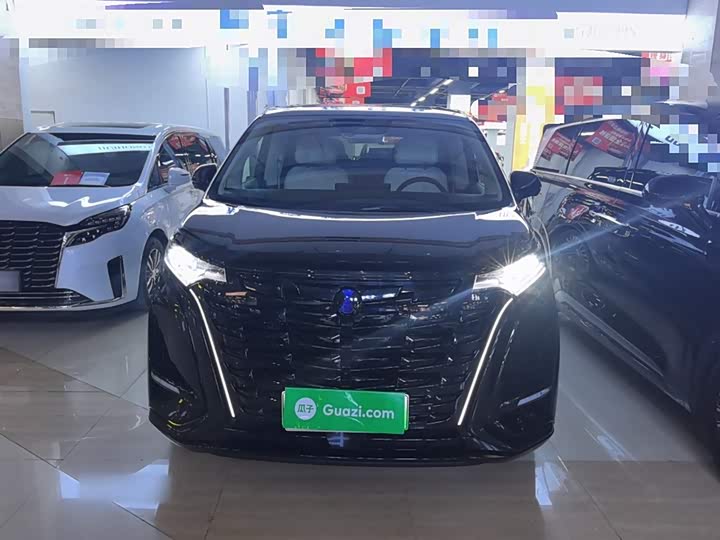 Фото 3 - Denza D9