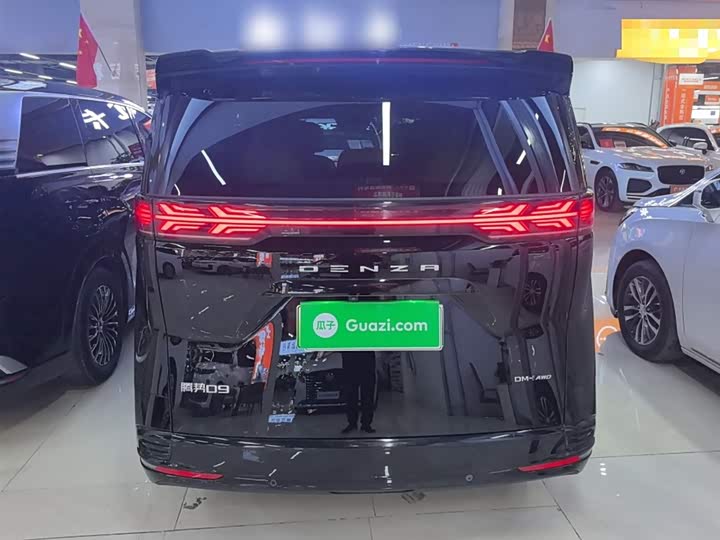 Фото 8 - Denza D9