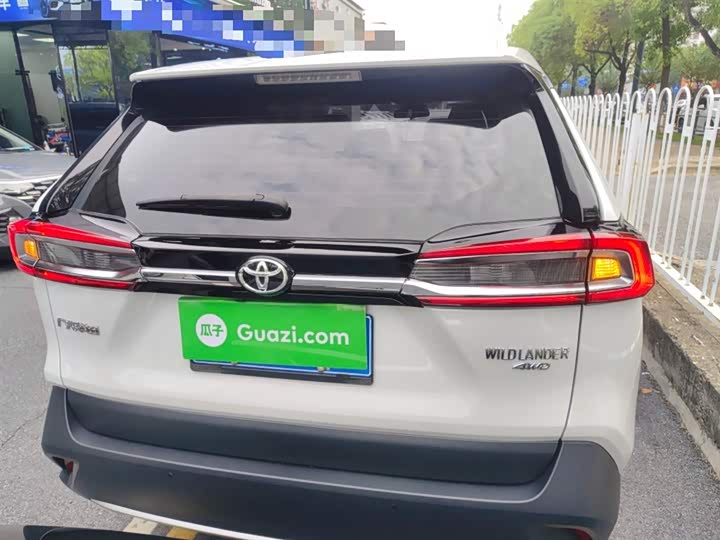 Фото 8 - Toyota Wildlander